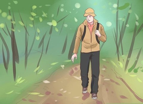 10 kỹ năng sinh tồn cho những người đi rừng bị lạc