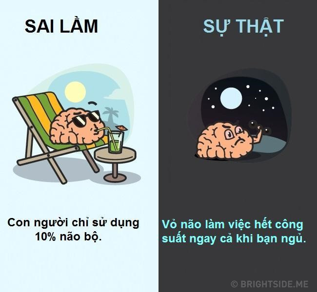 10 quan niệm sai lầm phổ biến về cơ thể người