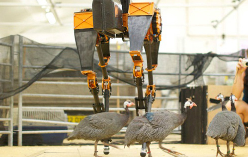 10 robot có hình dáng giống động vật