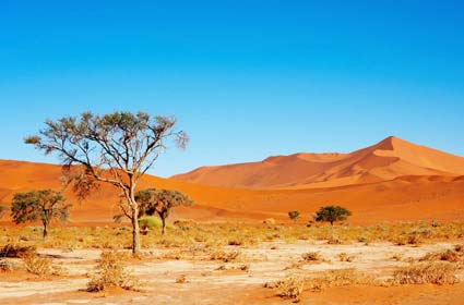 10 sa mạc - hoang mạc lớn trên thế giới