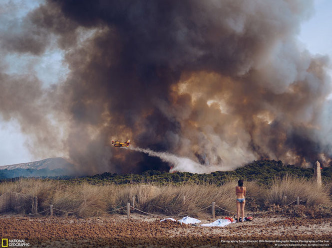 15 ảnh thắng giải Nhiếp ảnh gia thiên nhiên năm 2016