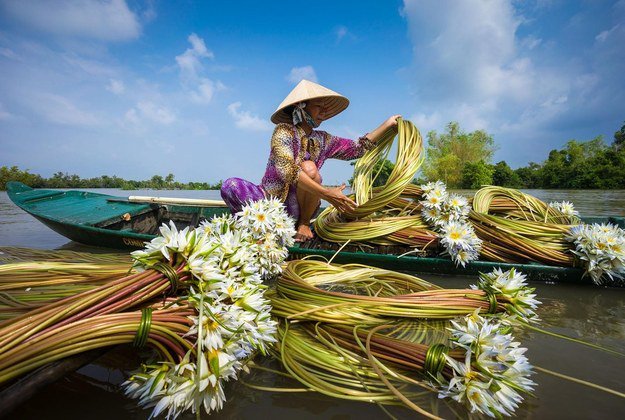 25 bức ảnh về Việt Nam đẹp không cưỡng nổi