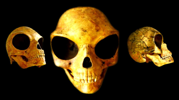 3 phát hiện khảo cổ bí ẩn nhất lịch sử nhân loại