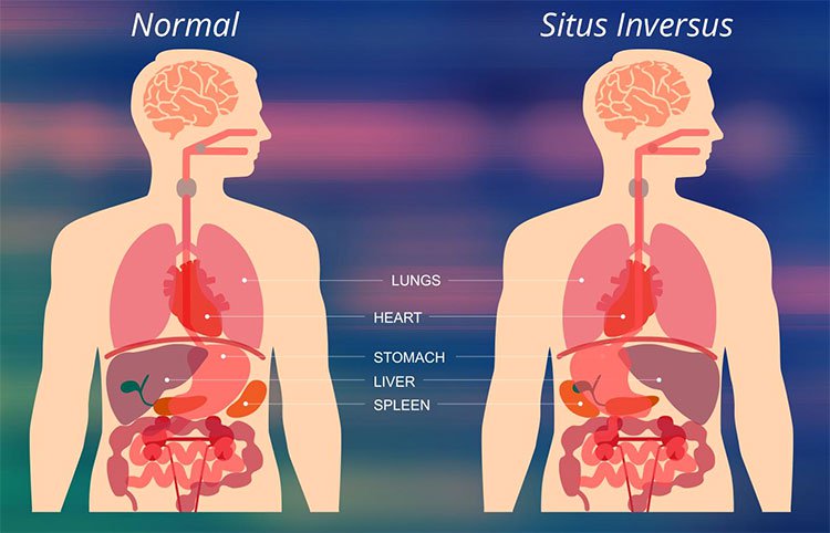 5 siêu năng lực cực hiếm bạn có thể đang sở hữu mà không hề hay biết