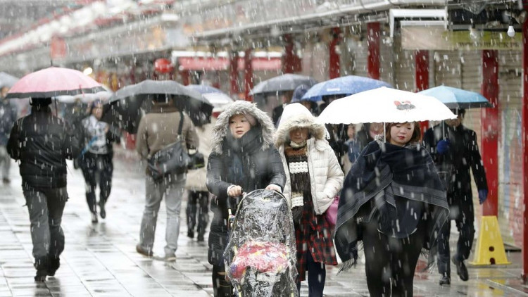 54 năm, tuyết lần đầu rơi vào tháng 11 ở Tokyo