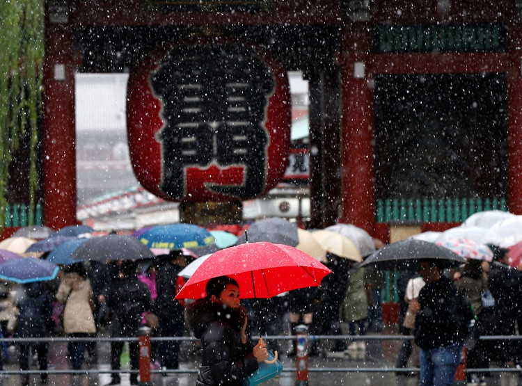 54 năm, tuyết lần đầu rơi vào tháng 11 ở Tokyo