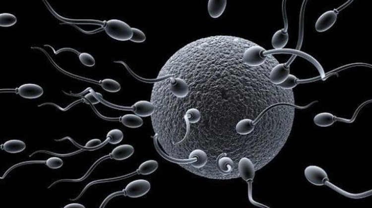 6 đặc điểm của nam giới có tinh trùng tốt, dễ sinh con