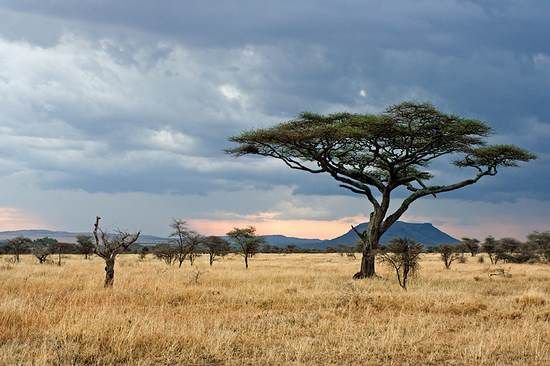 7 kỳ quan thiên nhiên của châu Phi