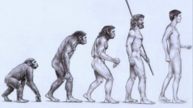 9 lý do chứng minh thuyết tiến hóa của Darwin là sai lầm