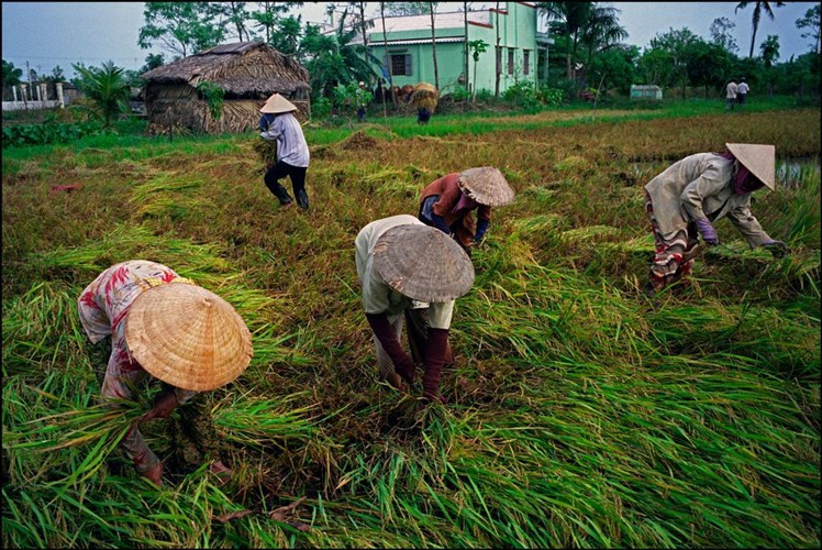 Ảnh để đời về miền Tây Nam Bộ 10 năm trước (Phần 2)