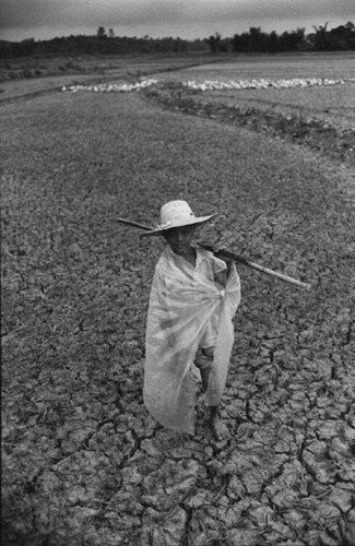 Ảnh hiếm về cuộc sống ở nông thôn Việt Nam năm 1993 (Phần 1)