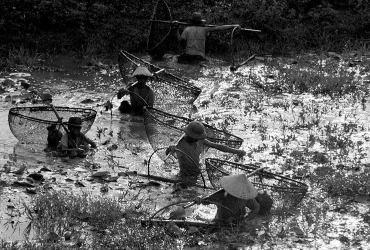 Ảnh hiếm về cuộc sống ở nông thôn Việt Nam năm 1993 (Phần 1)