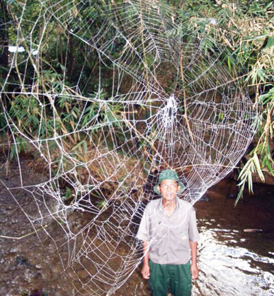 Áo giáp làm từ tơ nhện