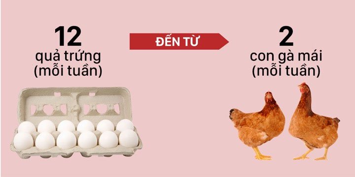 Bạn có biết: một tách cà phê cần bao nhiêu hạt cà phê?