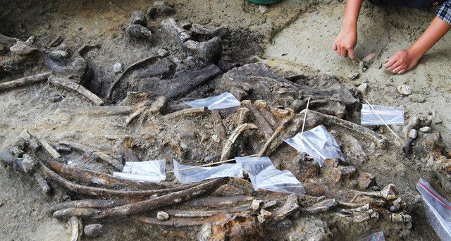 Bằng chứng sự xuất hiện của tộc người ở quần đảo Philippines 700.000 năm trước