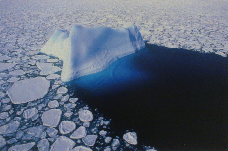 Băng Nam Cực có thể đã bắt đầu tan do El Nino từ những năm 1940