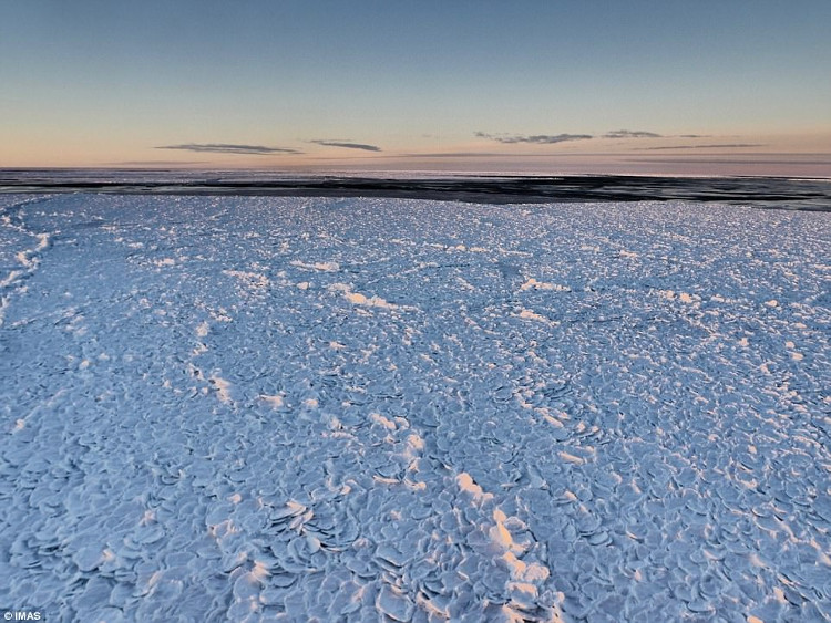 Băng vảy rồng - hiện tượng tự nhiên siêu hiếm xuất hiện tại Nam Cực sau 10 năm mất tích
