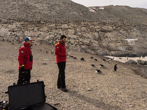 Bất ngờ phát hiện siêu quần thể hơn 1,5 triệu con chim cánh cụt chưa từng biết ở Nam Cực