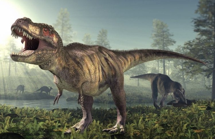 Bất ngờ với ngoại hình trẻ trâu của khủng long bạo chúa T-rex