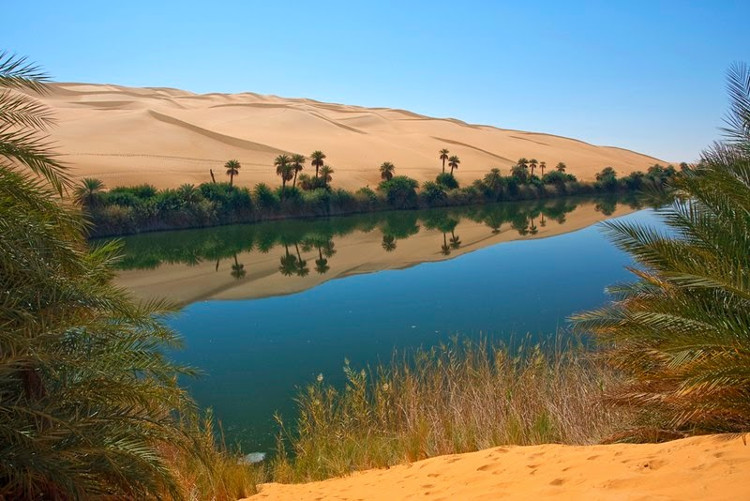 Bất ngờ với ốc đảo tràn ngập cây xanh và bóng mát giữa sa mạc Sahara