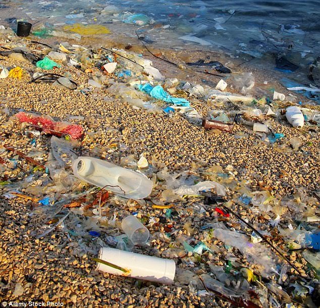 Bi kịch: Cá voi đang ăn hàng trăm, hàng ngàn mảnh rác nhựa mỗi ngày