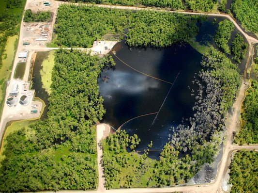 Bí mật tại đầm lầy nuốt cây khiến Cục Khảo sát Địa chất Mỹ đau đầu