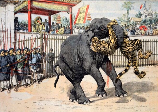 Bí quyết thuần hóa voi của người miền Trung 400 năm trước