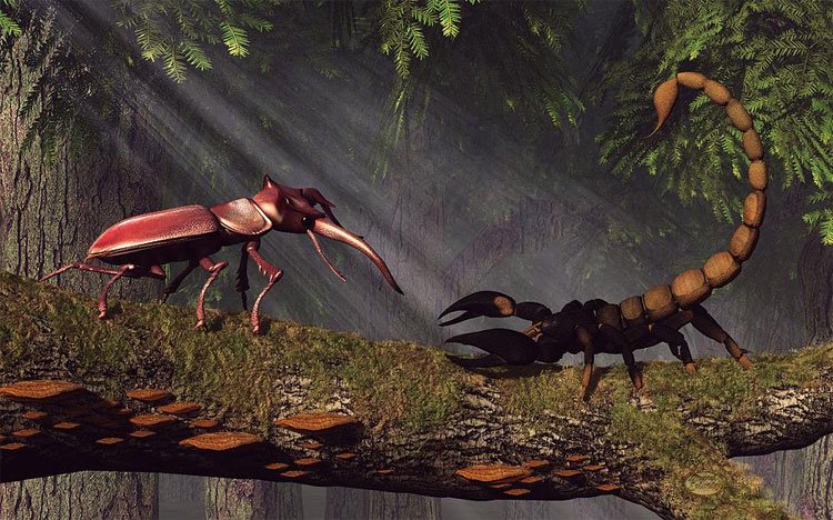 Bọ cánh cứng khổng lồ so càng bọ cạp hoàng đế: Loài nào xứng danh vô địch?