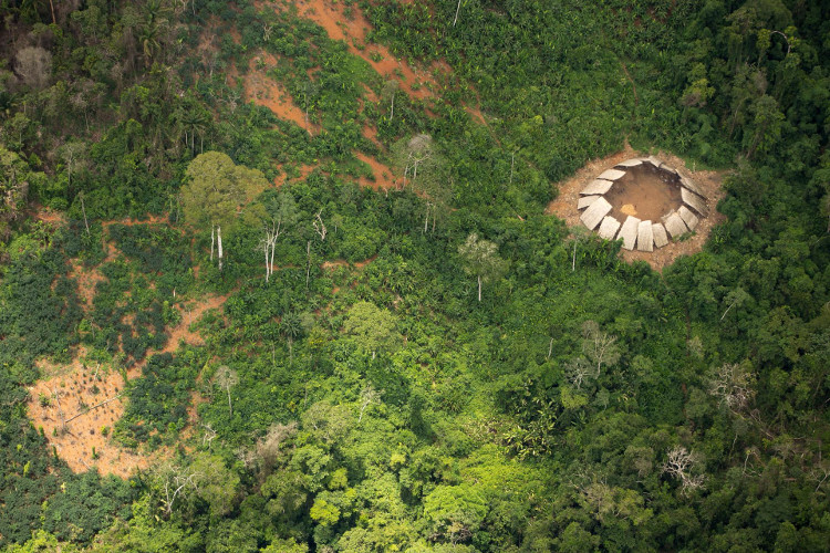 Bộ tộc sắp tuyệt chủng được phát hiện trong rừng Amazon
