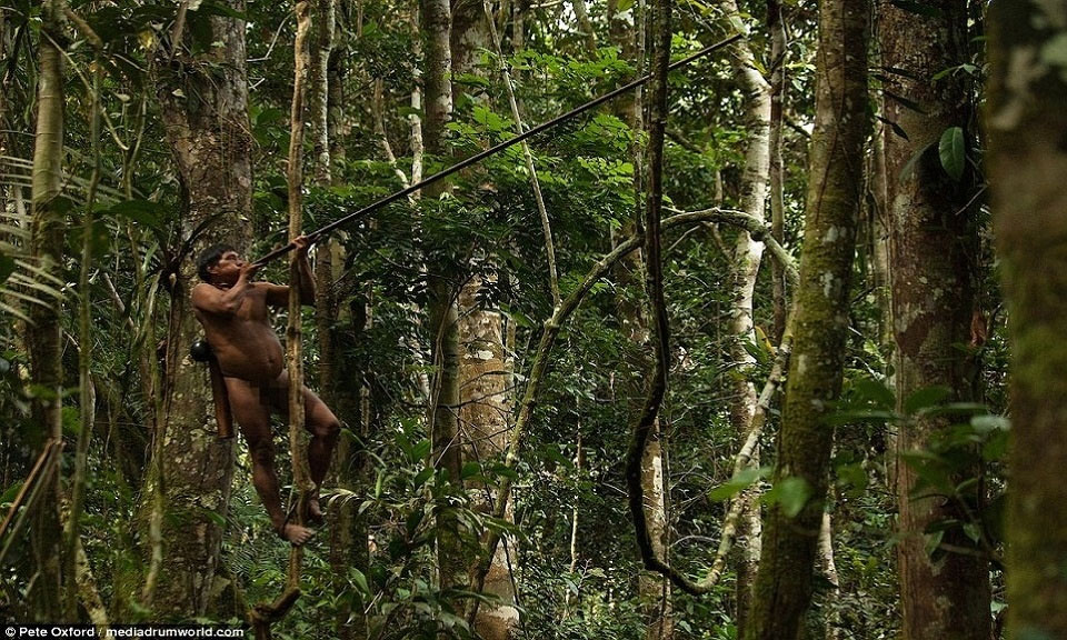 Bộ tộc sát khỉ chân 6 ngón, đu cây giỏi như Tarzan