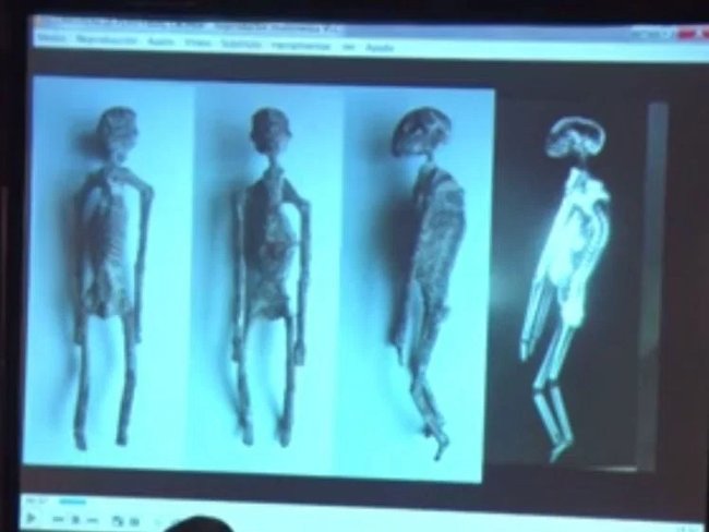 Bộ xương người ngoài hành tinh được tìm thấy ở Peru là thật?