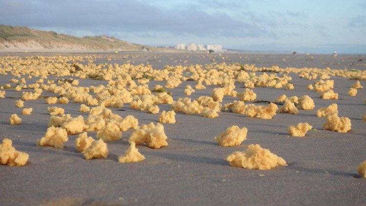 Bọt biển màu vàng không rõ nguồn gốc tràn ngập bãi biển Pháp