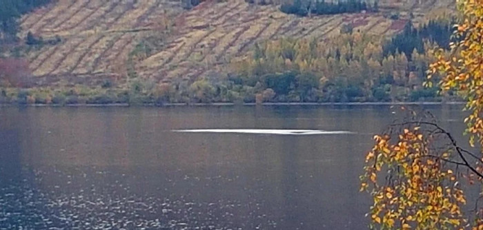 Bức ảnh cho thấy quái vật vui đùa dưới hồ Loch Ness?