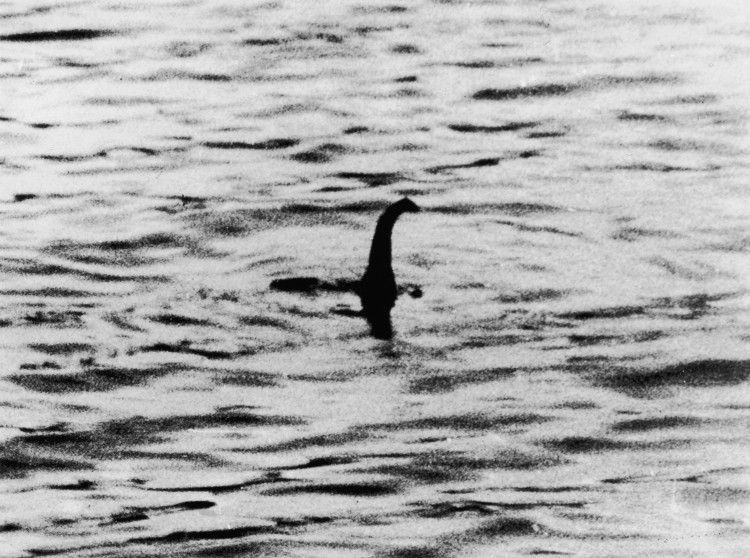Bức ảnh cho thấy quái vật vui đùa dưới hồ Loch Ness?