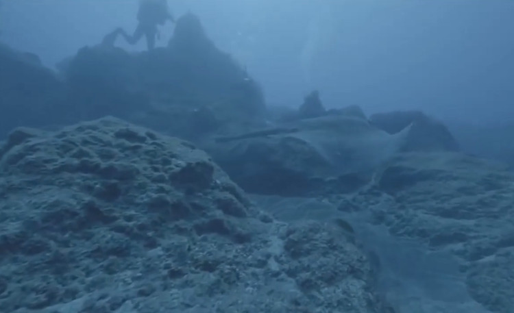 Cá đuối dài ba mét biến hình thành tảng đá dưới đáy biển