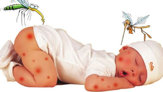 Cách nhận biết trẻ mắc bệnh sốt xuất huyết