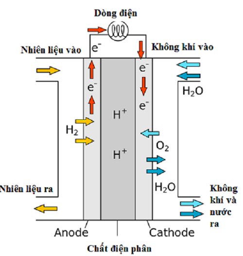 Cách sống sót qua thảm họa hạt nhân