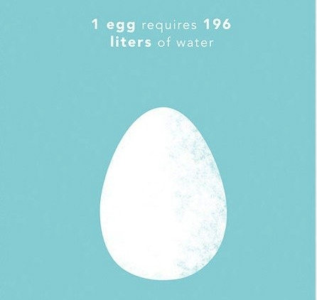 Cần bao nhiêu nước để sản xuất ra 1kg thức ăn cho bạn?