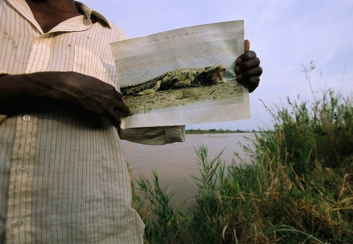 Cận cảnh quái thú Gustave tàn sát 300 người vùng sông Nile