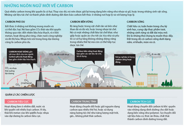 Carbon không phải kẻ thù của Trái Đất, thế giới cần nhìn nhận lại điều đó