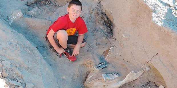Cậu bé 9 tuổi tìm ra bộ xương hóa thạch 1 triệu năm tuổi