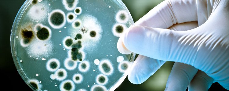 CDC Hoa Kỳ cảnh báo: Vi khuẩn ác mộng đang lan ra trên toàn nước Mỹ