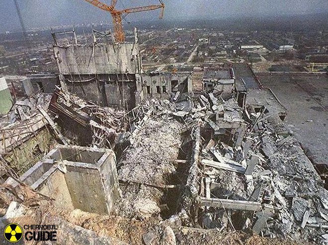 Chernobyl là thảm họa của con người, nhưng lại là tin vui với động vật ở đây