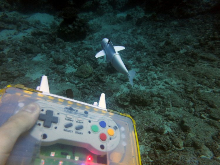 Chú cá robot có thể bơi ở độ sâu 15m mà không bị phát hiện