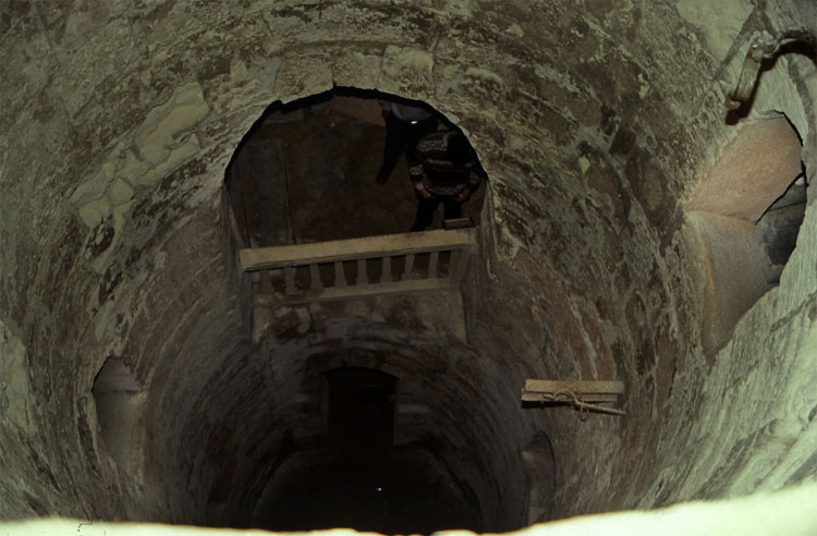 Chú lừa con phát hiện ra di tích hầm mộ nghìn năm