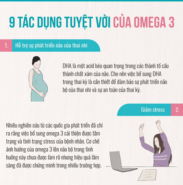 Có bao giờ bạn hỏi não được cấu thành từ chất gì?