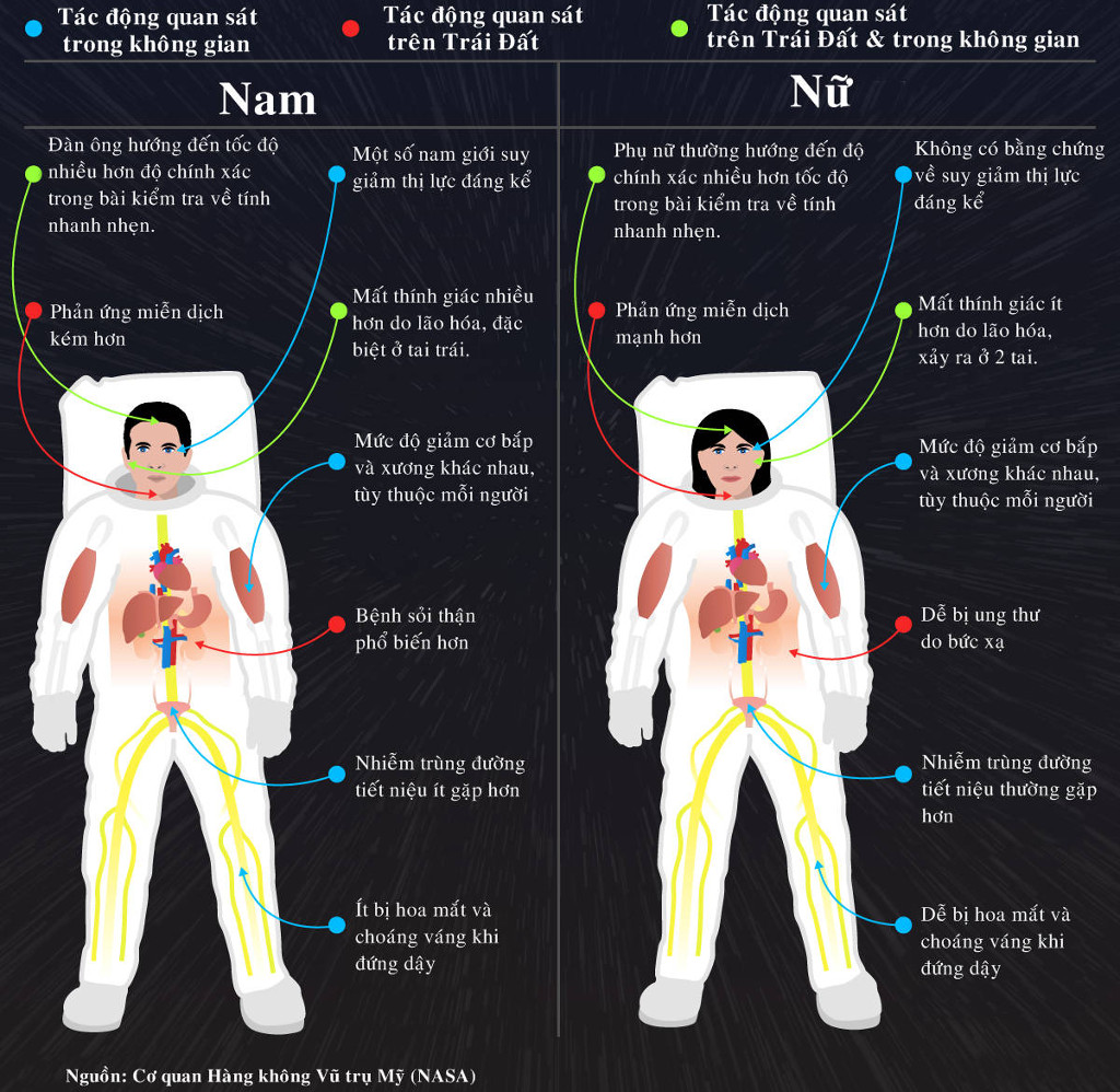 Cơ thể nam và nữ biến đổi thế nào trong không gian