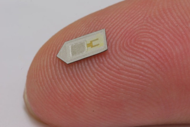 Con chip silicon đầu tiên trên thế giới có thể cấy vào não và tự hòa tan