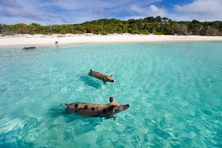 Côn Đảo đứng đầu danh sách những hòn đảo bí ẩn nhất thế giới