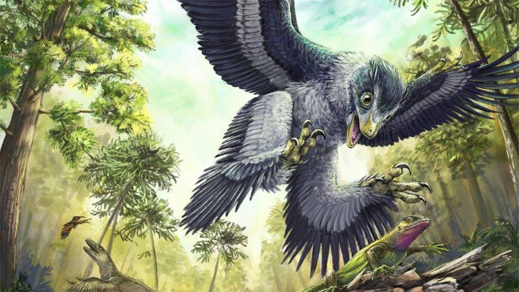 Cùng phải chịu thảm họa thiên thạch nhưng vì sao khủng long tuyệt chủng, chim thì không?